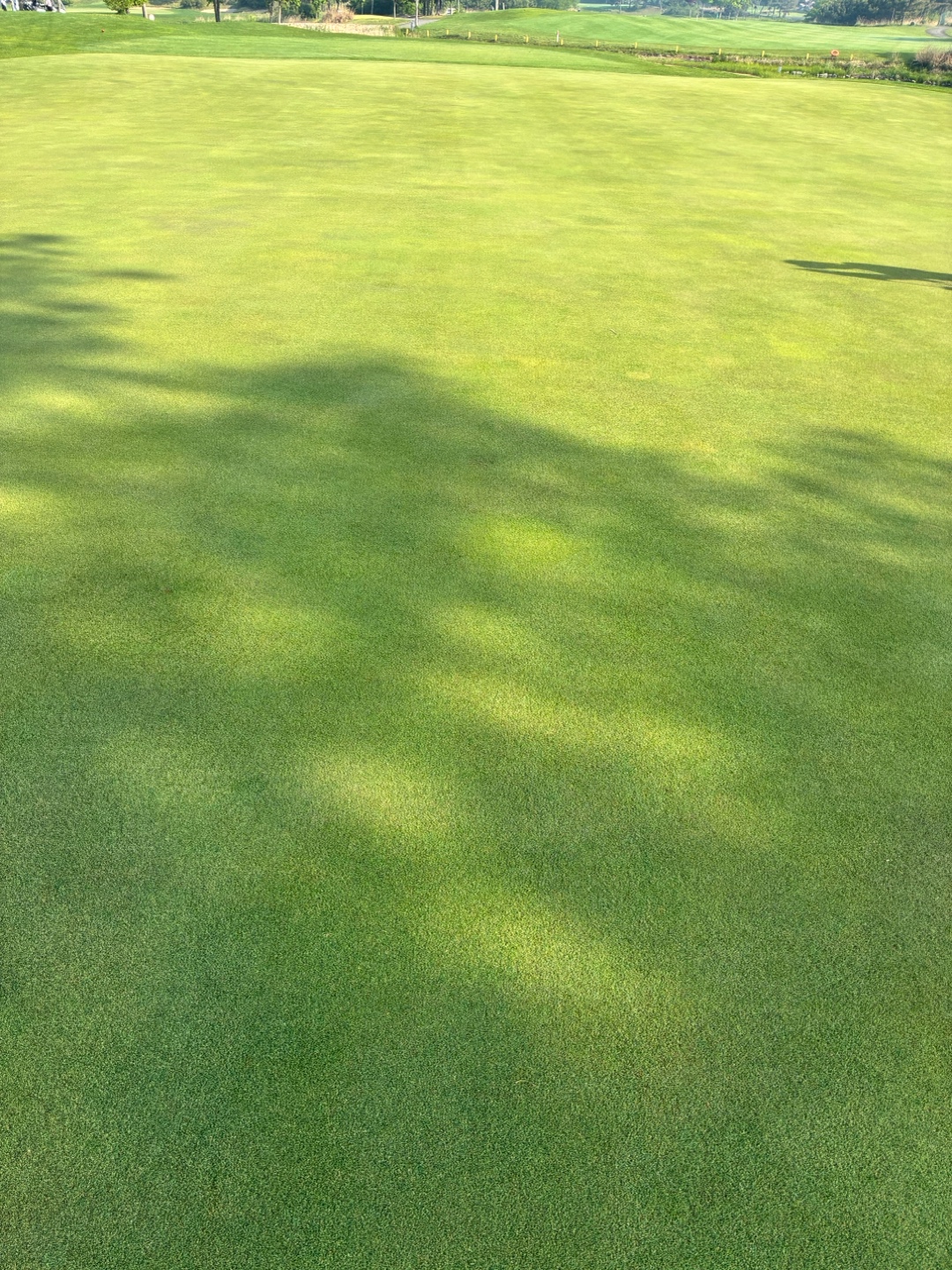Post image 6