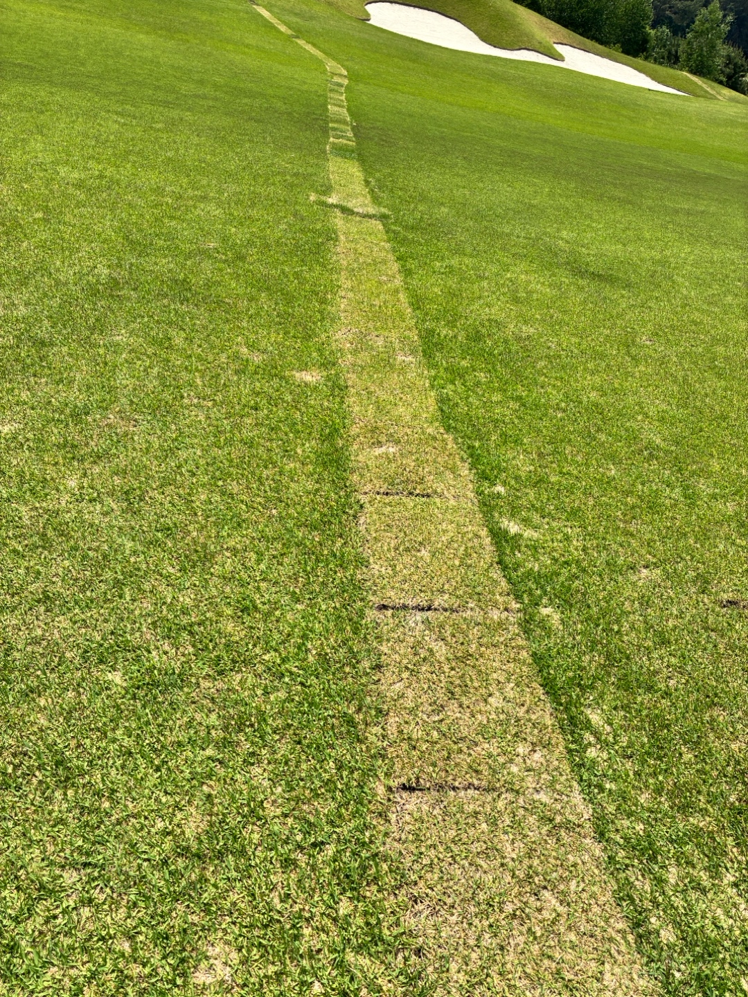 Post image 6