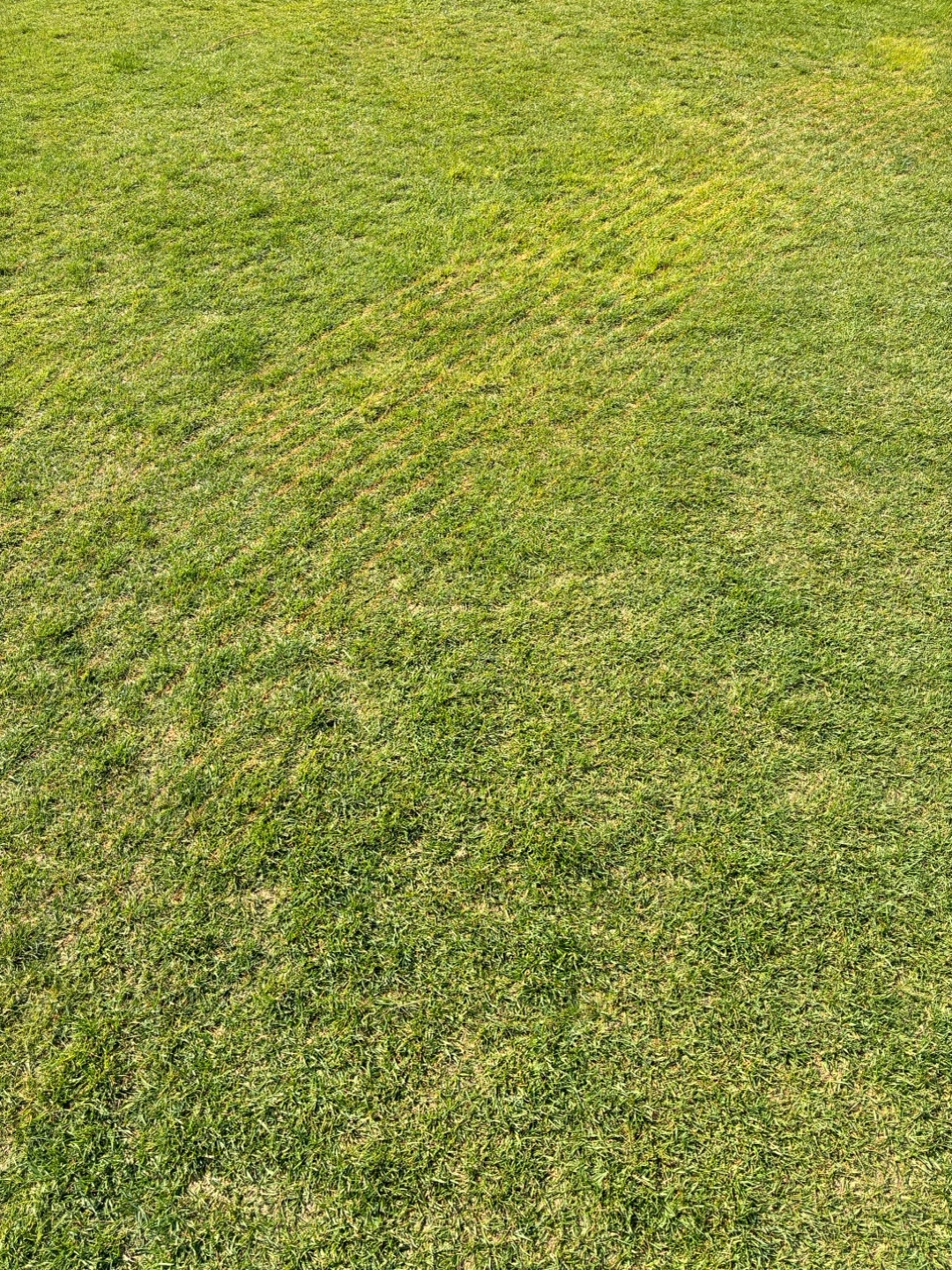 Post image 5