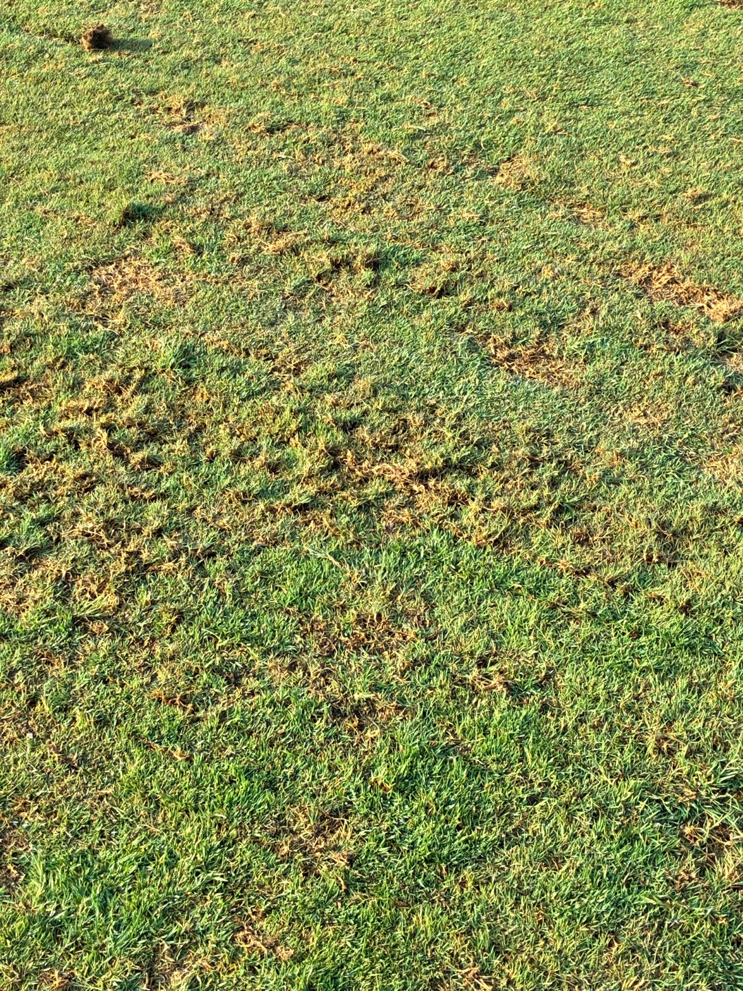 Post image 4