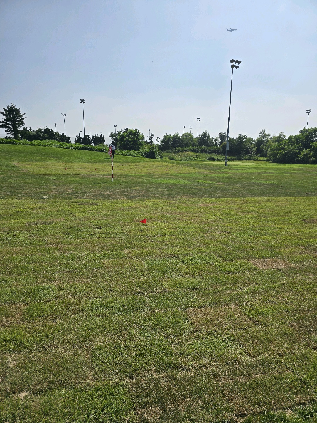 Post image 6